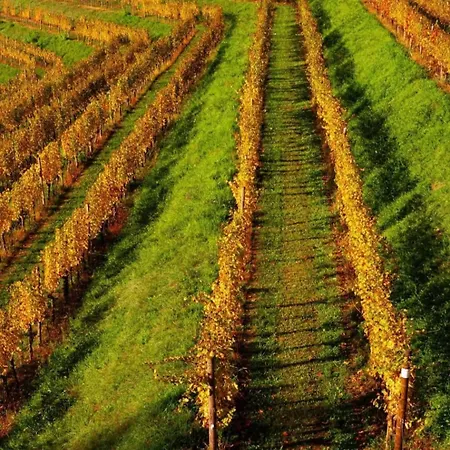 Torre Antica Gasthuis 3*