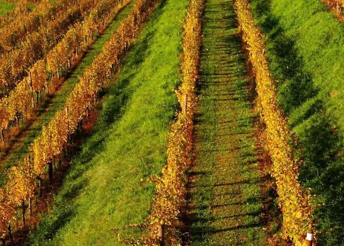 Torre Antica Vendégház 3*